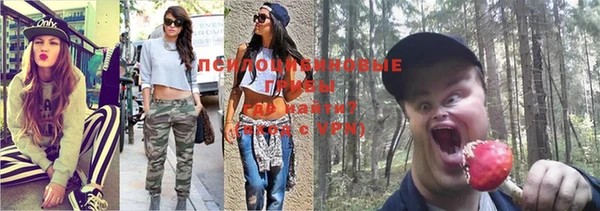 винт Лабытнанги