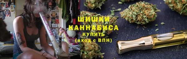 винт Лабытнанги